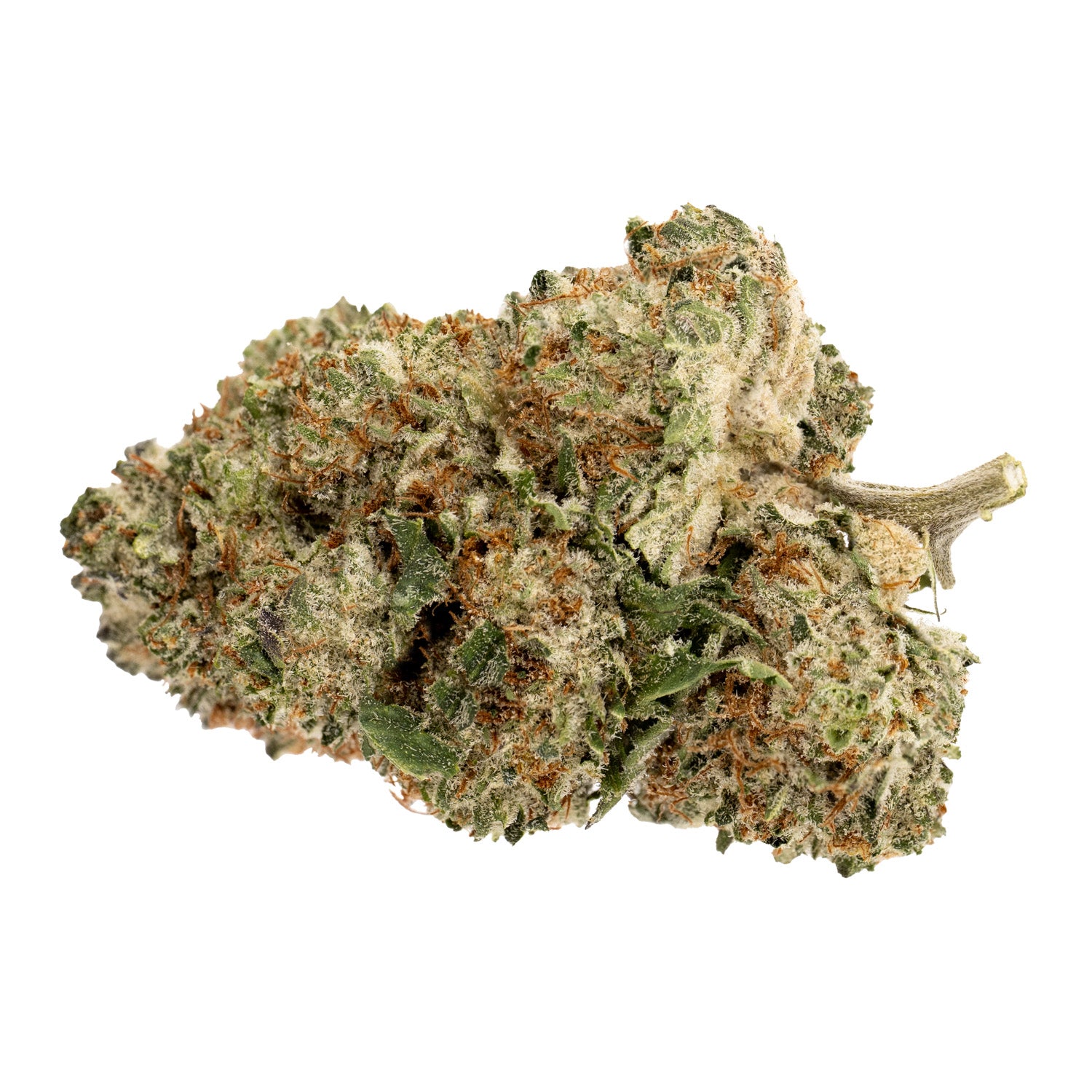 Pink Rhino