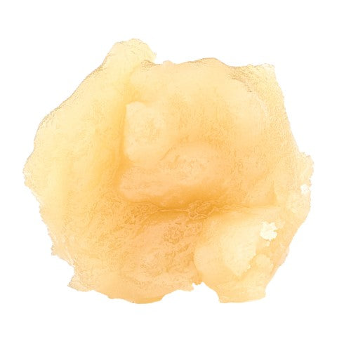 Drago Live Rosin Lto