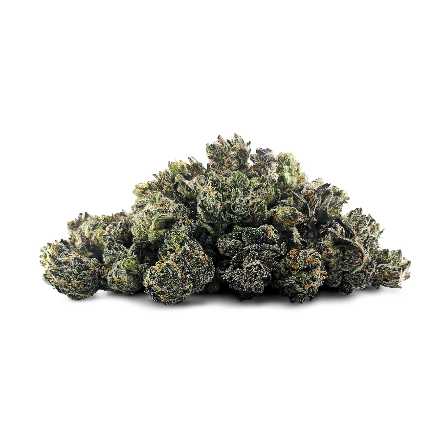 Purple Kush X MKU Craft