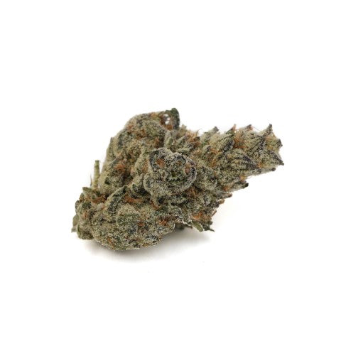 Grease Monkey