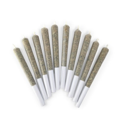 BC OZ- vanilla skunk p.r.10*.5