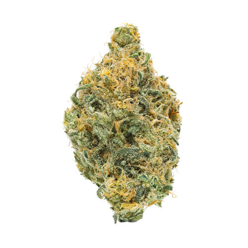 Bc Organic Girl Scout Platinum