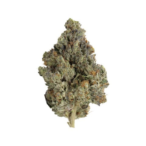 Master Kush Ultra 2