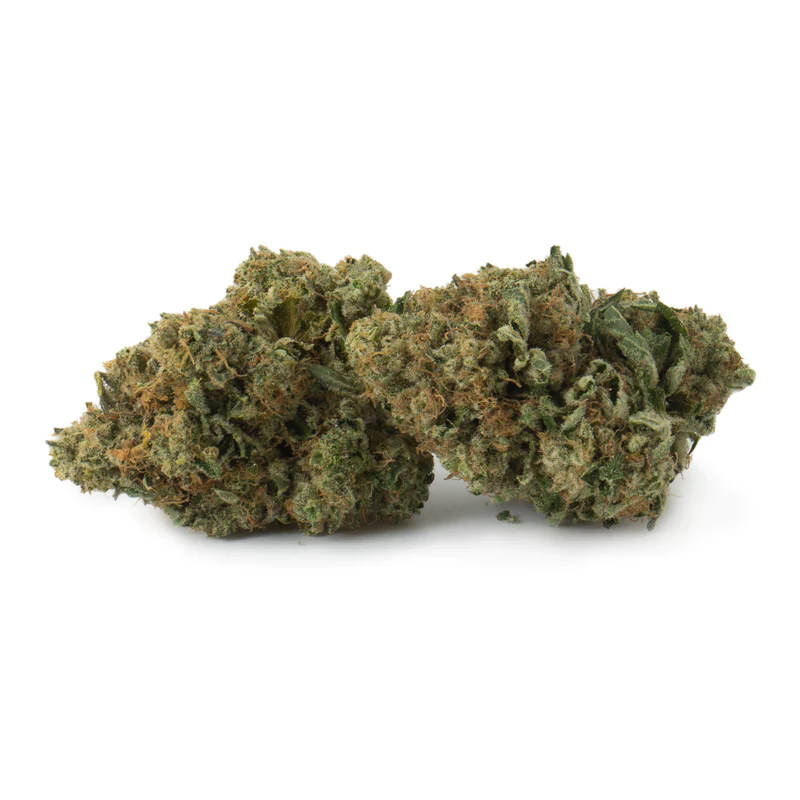 Gsc
