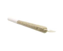 Gelato Pre-Roll