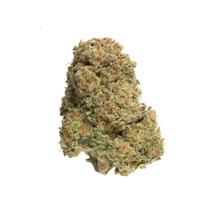 Bandwagon Indica 28g