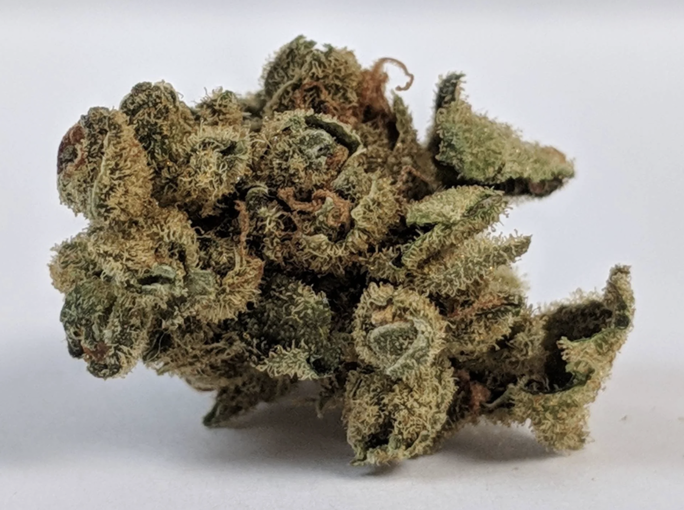 Buddha Haze