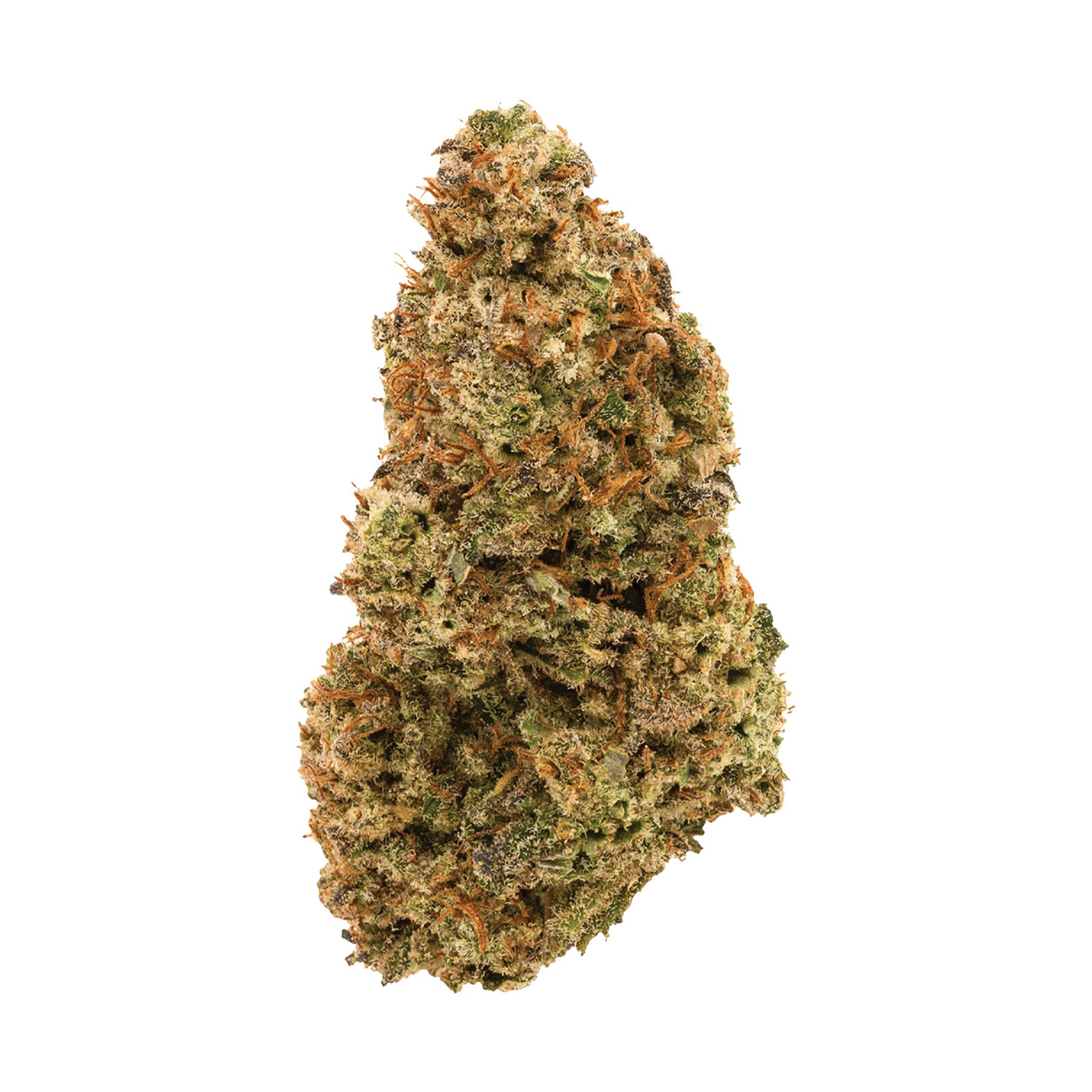 Bc Organic Harlequin 2