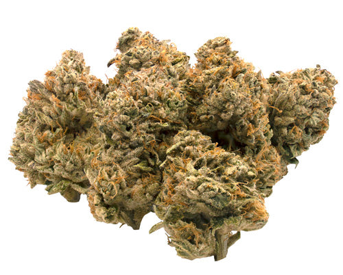 C&C Indica (Coma Kush) 2