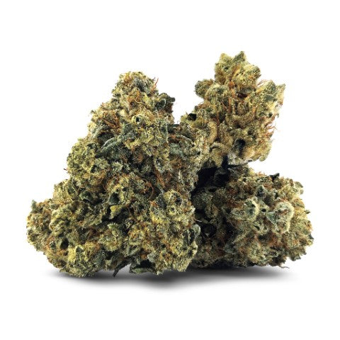 Victoria Cannabis Co Bc Kush