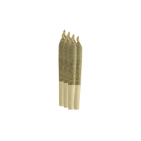 Sheesh-Trop Juice pre roll