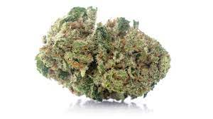 Cbd Harlequin