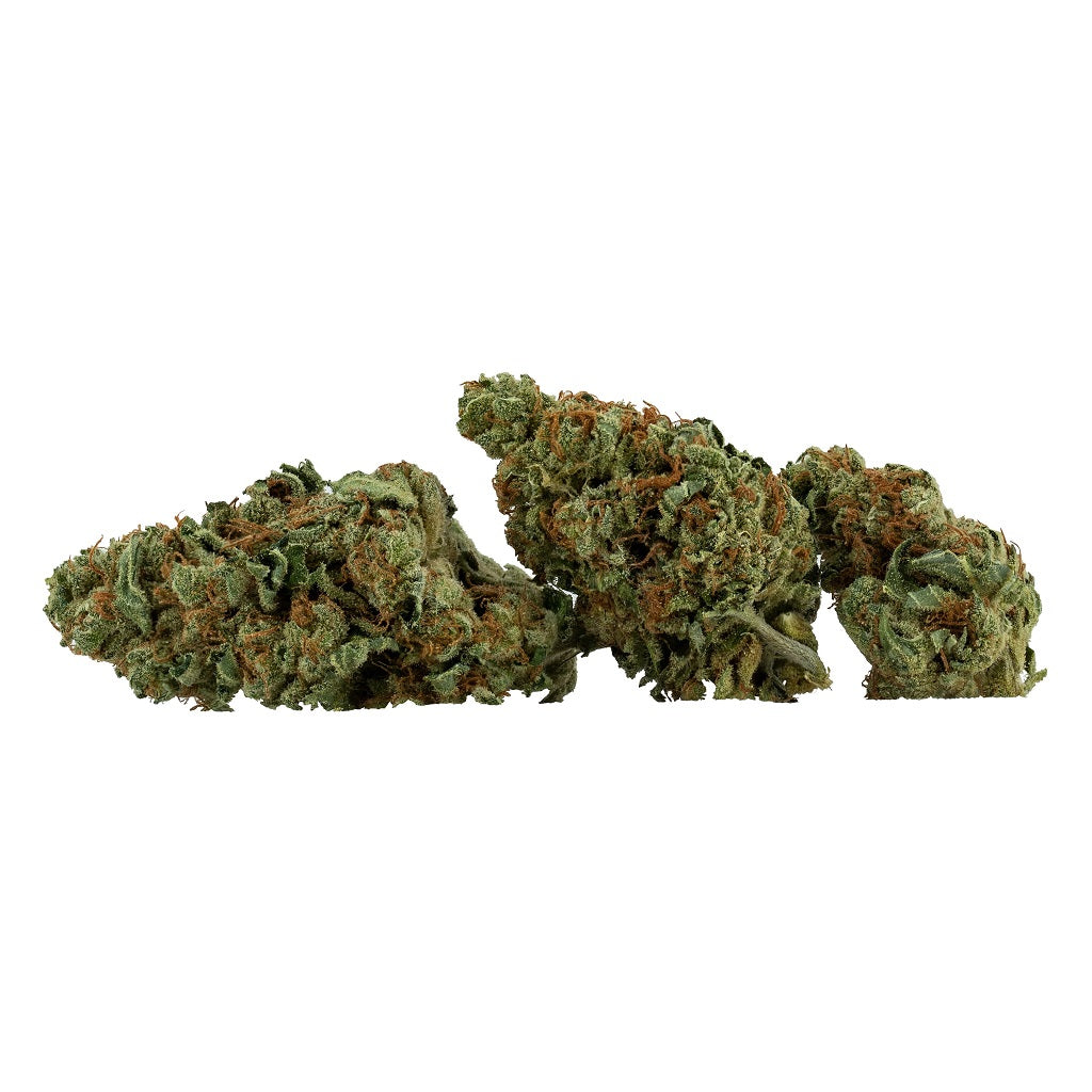 Mk Ultra