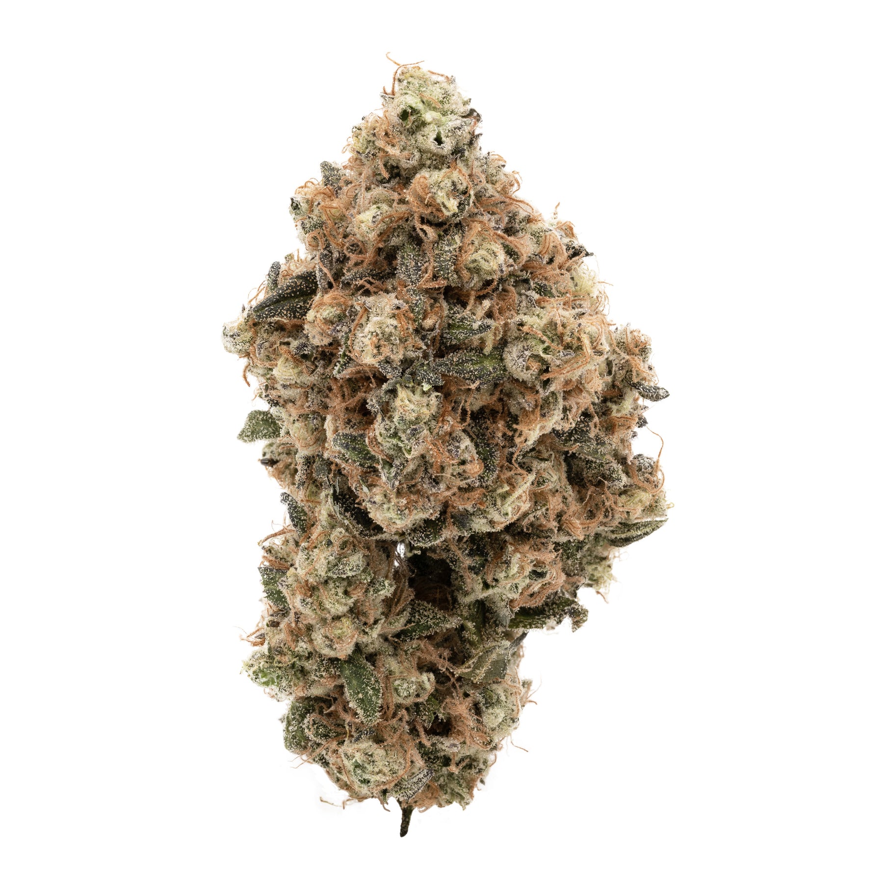 scotti biscotti 3.5g