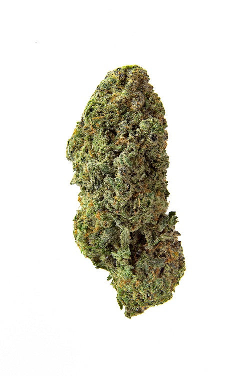 Homestead- Bandwagon Sativa 7g Rotational