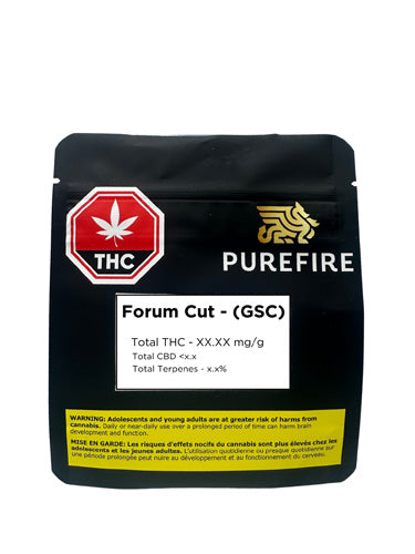 Forum Cut (Gsc) 2