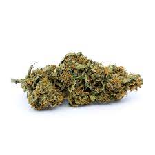 Cbd Shark Shock