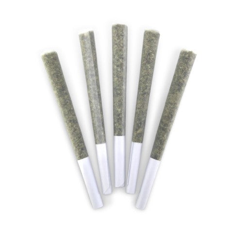 Gusher Stomper Pre-Rolls