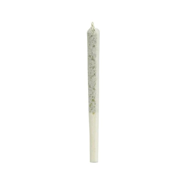 Organic Gelato #41 Pre-Rolls
