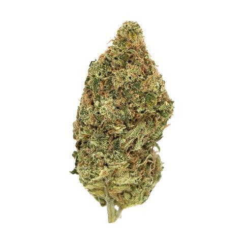 Sour Tangie Lto