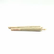 White Shark Pre-Roll