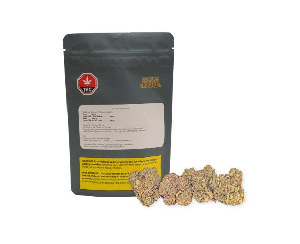 Platinum Pink Banana 2