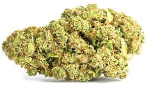 Bc Cbd Critical Mass