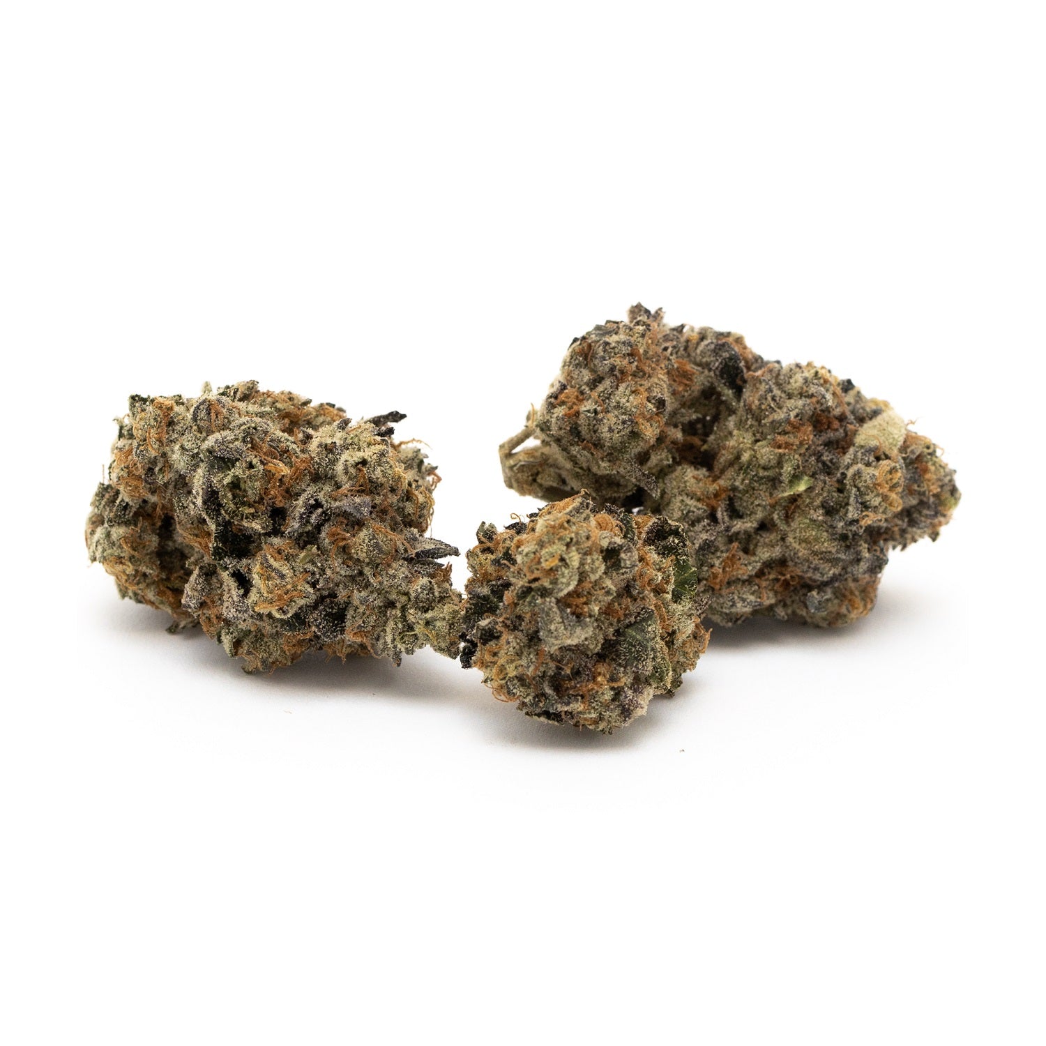 West Coast Gorilla