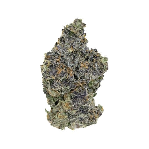 P&P-Blackout Bobby