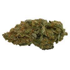Blue Widow