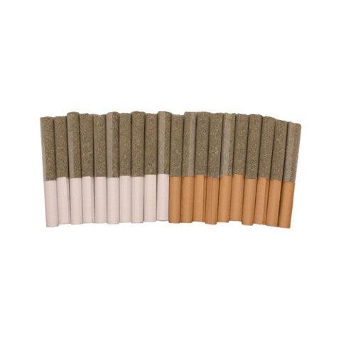 Block Party - Dawn To Dusk Pre-Rolls