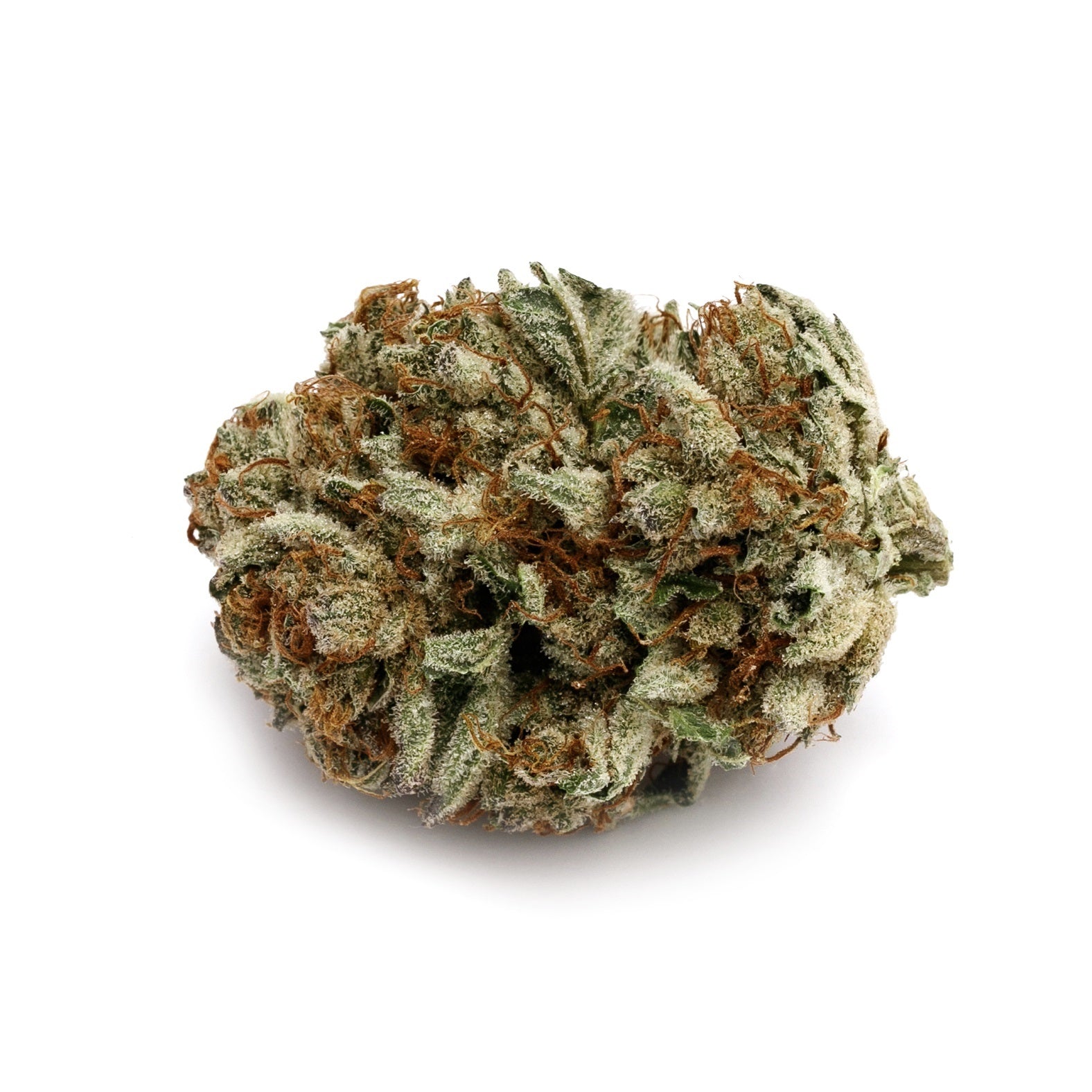 D. Bubba 4