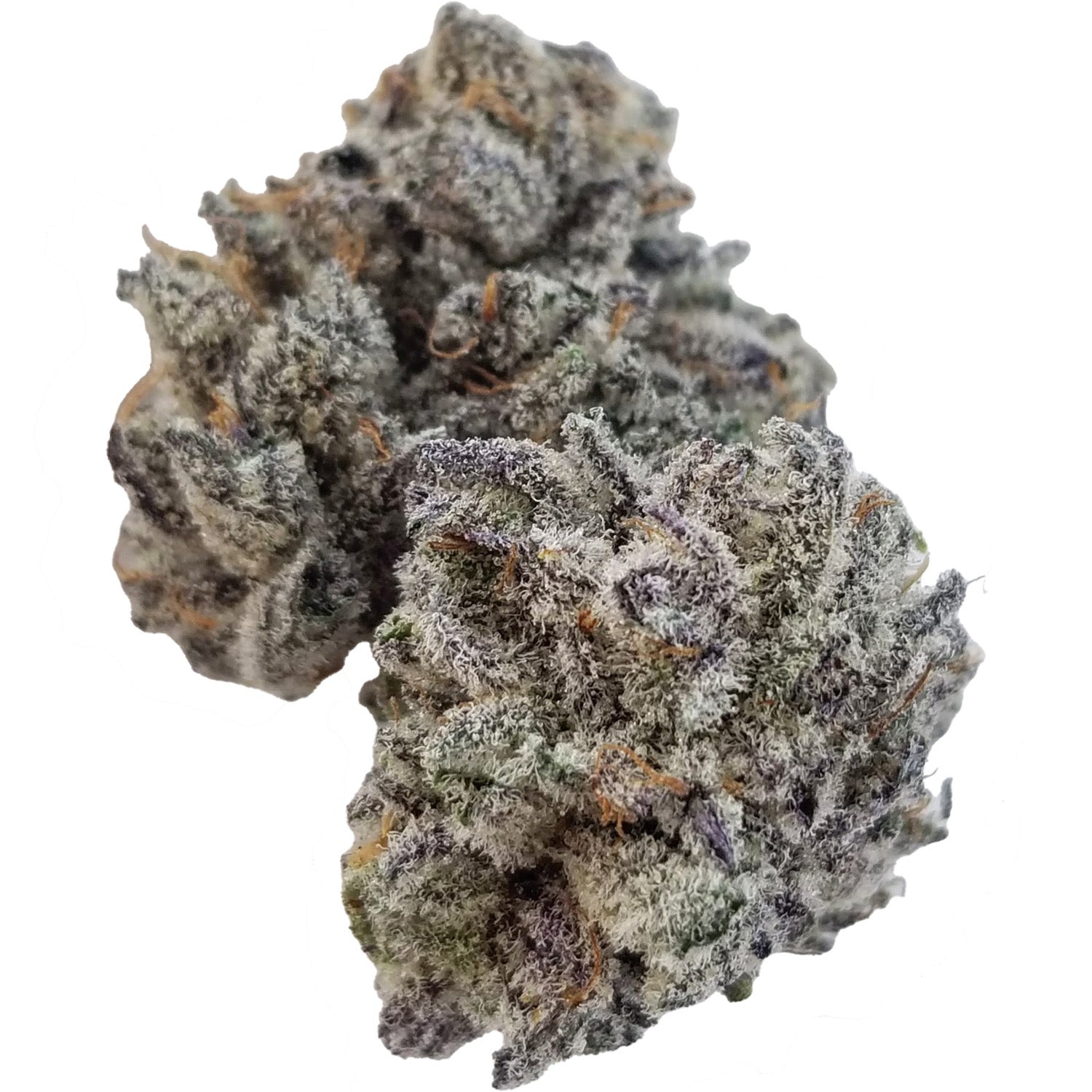 Sheesh-Tricopath