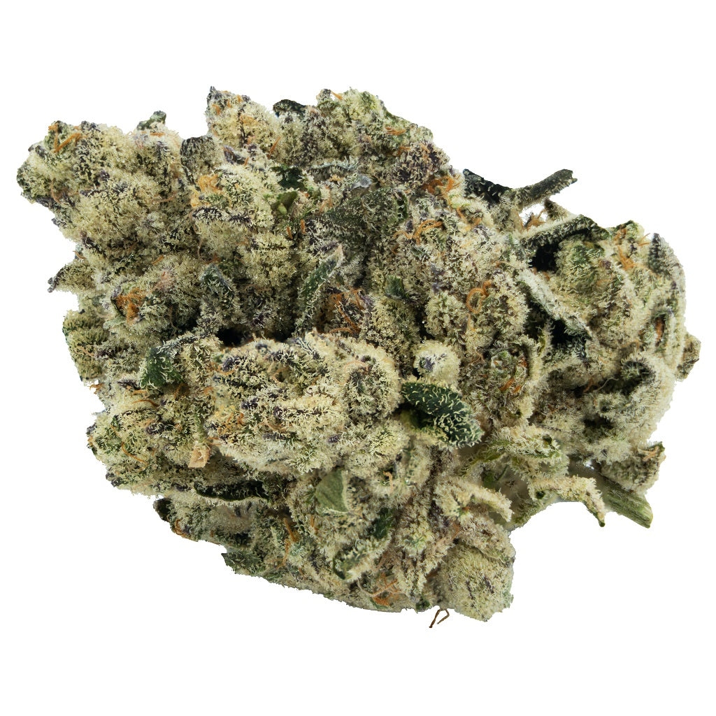 Jungle Breath