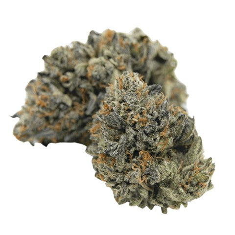 Harmony Haze Lawp