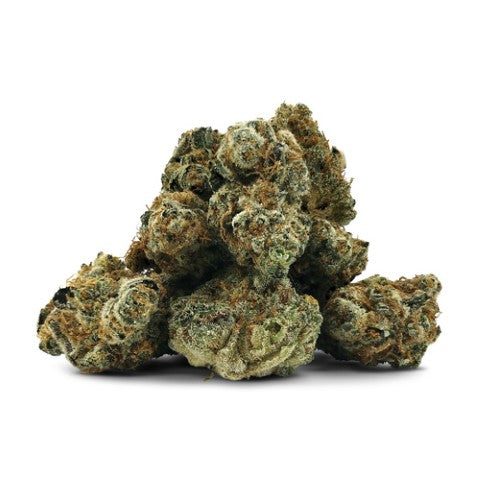 Tangy Fritter Lto