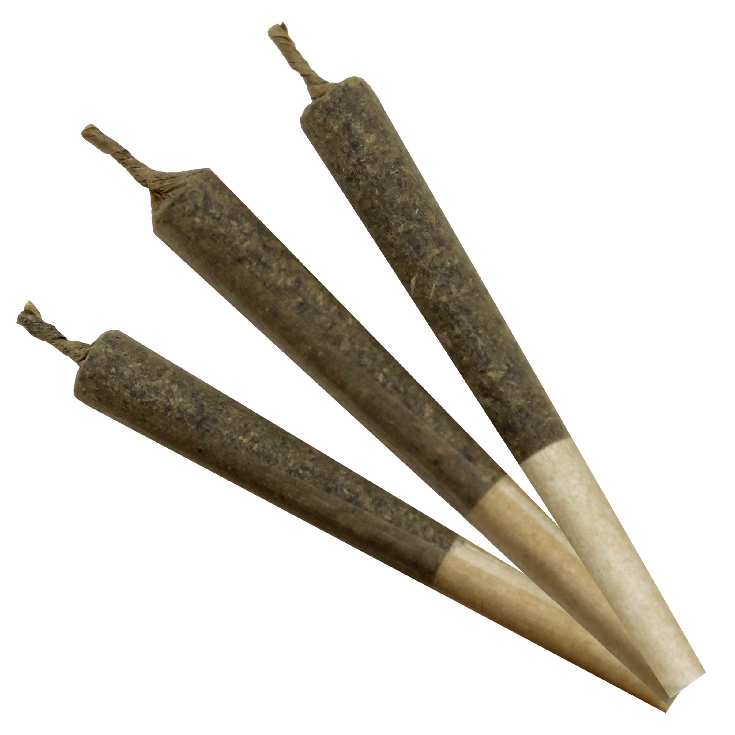 Salish Cbd Pre-Rolls