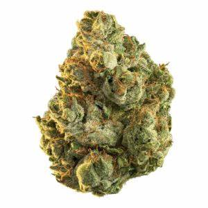 Hollywood Og