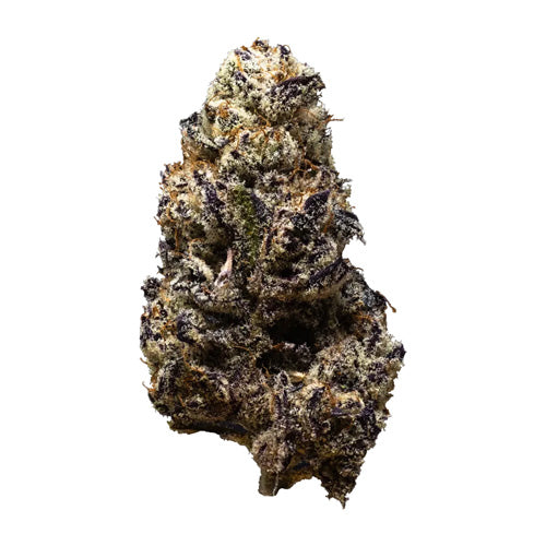 Black Truffle