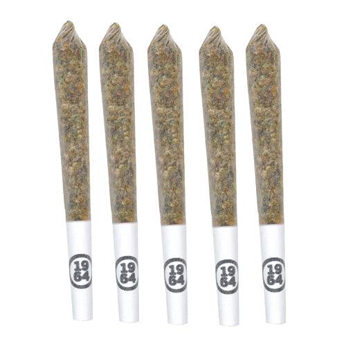 Gasolina Pre-Rolls