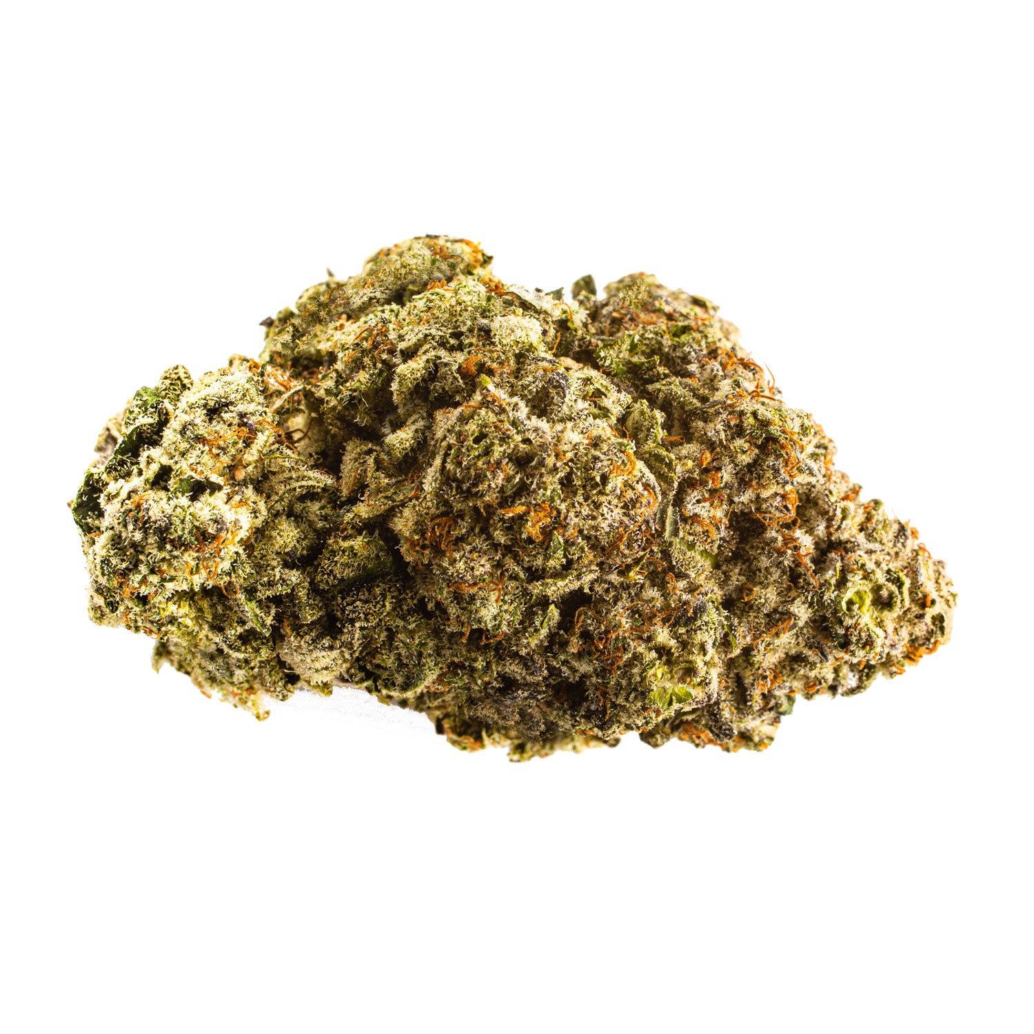 Phant-apes in space 7g