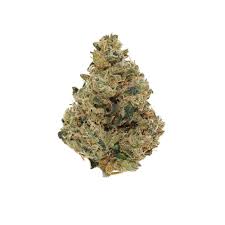 Organic Acapulco Gold