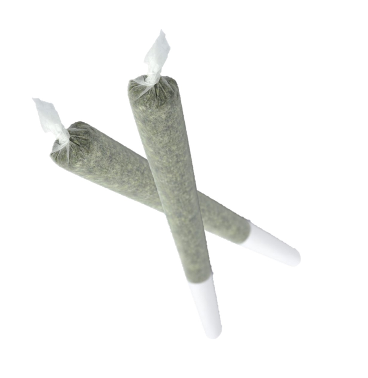 BC BUD-Alaskan Thunder pre roll
