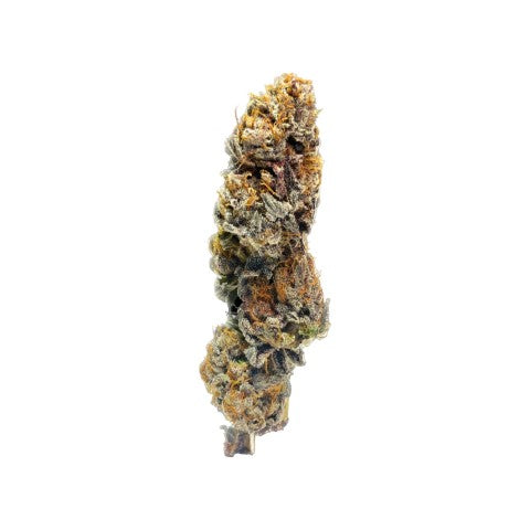 Blueberry Bubba 2