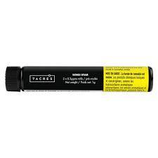 Sensi Star Pre-Roll