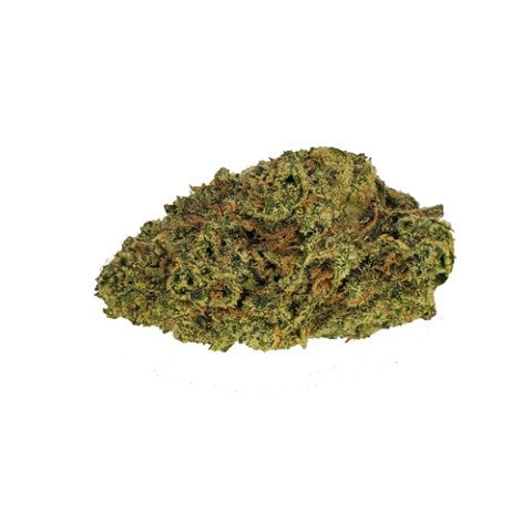 Mango Gold
