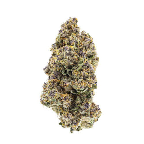 Organic Triangle Queen Lto 2