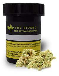 Dagga