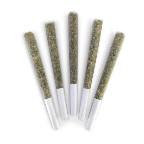 Loud Dream Pre-Rolls