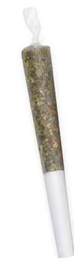 Critical Plus Pre-Roll